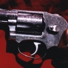 Smith & Wesson Model 649
