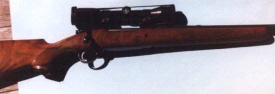 Custom 375 on Win Mag Sako Action