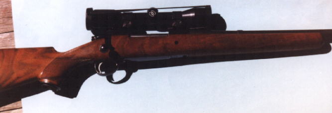 Custom 375 on Win Mag Sako Action